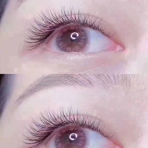2D Eyelash Extension