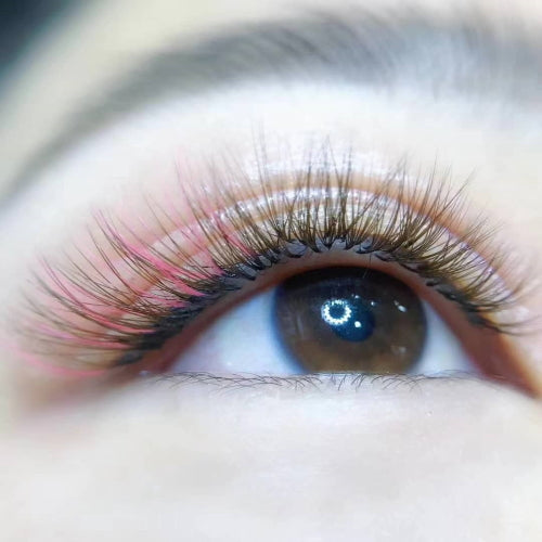 4D Eyelash Extension