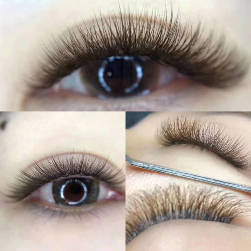 6D Eyelash Extension
