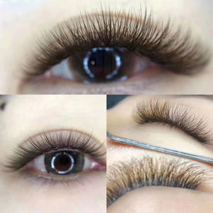 6D Eyelash Extension